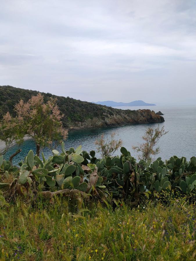 Domus Tilla Piombino Exterior foto